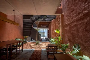 A cozy living space with a staircase, chairs, and potted plants, creating a warm and inviting atmosphere