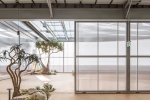 A cozy indoor space with potted plants, two benches, and a warm atmosphere, blending living area and garden elements