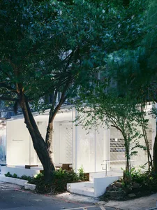 A modern building with a white exterior and glass wall, surrounded by chairs and potted plants, with a tree in the foreground