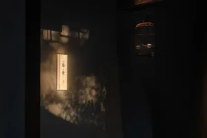 A dimly lit room with a bird cage on the wall containing two birds, one near the center and one towards the right
