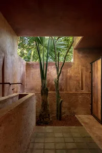 A rustic living space with a palm tree, stone wall, and sink, featuring a unique blend of living and bathroom areas