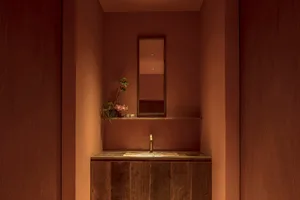 Small bathroom with pink walls, wooden floors, two sinks, a mirror, and a vase with flowers