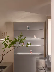 Clean and organized bathroom with a toilet and sink, featuring shelves and bottles