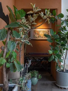 A cozy living space with potted plants, a chair, and a painting on the wall, creating a warm and inviting atmosphere