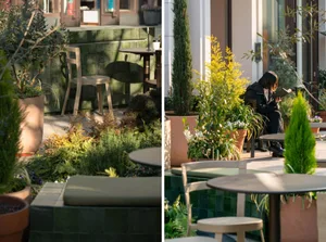 Outdoor dining area with multiple chairs and tables, a woman sitting on a chair near a potted plant, and lush greenery