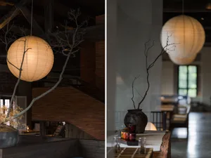 Dining space with wooden flooring, modern furniture, and decorative elements like vases and potted plants