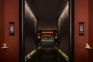 A hotel hallway with a dark carpet, potted plants, and scattered bottles, possibly leading to a bar or dining area