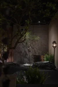 Indoor space with a rock wall, a tree, and potted plants, creating a calm and serene atmosphere