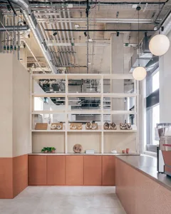 Bright and inviting open kitchen area with a countertop featuring bowls, cups, and potted plants, emphasizing functionality and organization