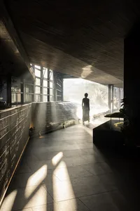 A modern living and dining space with two couches, a chair, and a large window allowing natural light to enter, set against concrete walls