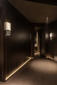 Dark hallway with wooden walls and floors, lit by two side lights and featuring three potted plants