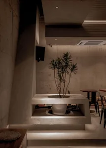 A calm and inviting indoor space with a white wall, plants, a chair, and a dining table in the background