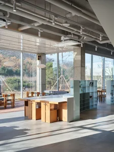 Open modern living area with wooden floors and walls, natural light, chairs, a dining table, a potted plant, and a vase