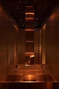 A luxurious bathroom with two sinks, metallic finish, and two bottles, set against a well-designed backdrop