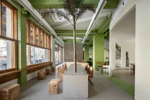 Open modern living space with a concrete island, comfortable seating, and potted plants, featuring a functional and inviting atmosphere