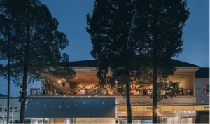 A modern building at night with a metal roof and potted plants surrounding the area, creating a stylish and inviting atmosphere