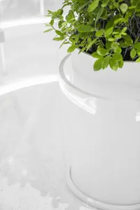 A serene indoor space with a white vase and potted green plants on a table, surrounded by calm surroundings