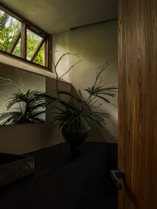 Bright indoor space with natural light, two potted plants, and a vase on a surface, near a large window