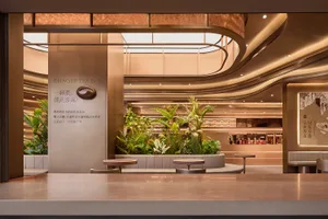 A modern cafe interior with multiple dining tables, chairs, and numerous potted plants creating a comfortable atmosphere