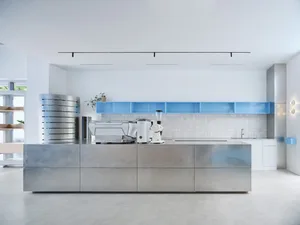Industrial kitchen with stainless steel appliances and surfaces, featuring multiple sinks and a potted plant