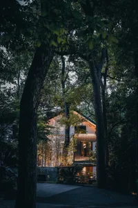 A house with a wooden exterior surrounded by trees in a peaceful forest setting, with two chairs on a porch or patio area