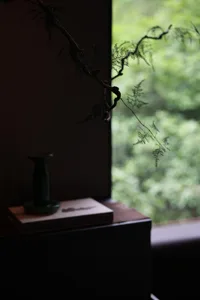 A living area with a green vase, potted plants, and a book on a table near a window, creating a cozy atmosphere