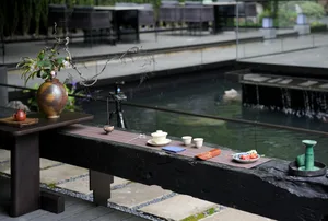 A warm and inviting dining space with a wooden table, chairs, and multiple potted plants, creating a cozy atmosphere perfect for meals and gatherings