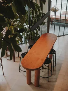 warm and inviting dining space with a wooden table, black chairs, and potted plants
