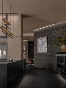 Modern living space with black walls, gray floor, natural light, and decorative elements from vases and potted plants