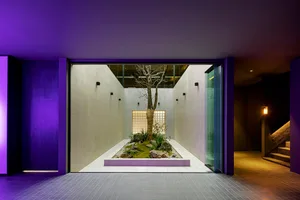 A modern lobby with purple walls, a tree in the center, and a bench, with natural light entering through large windows