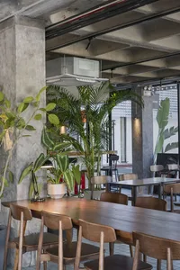 A modern dining area with a large wooden table, multiple chairs, and potted plants, featuring a warm and inviting atmosphere