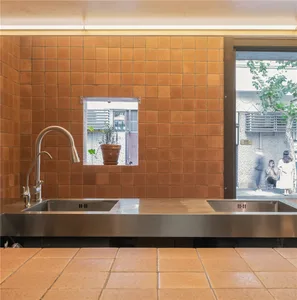 A modern kitchen with two sinks, two potted plants, and a clean, organized atmosphere, featuring tile walls and floors