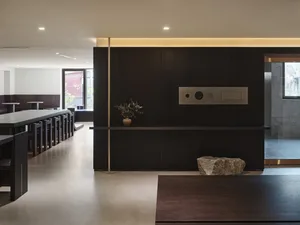 Modern kitchen dining area with dark wood floors, black cabinets, a large rock, and potted plants, set with a dining table and chairs