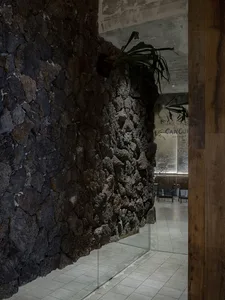 Cozy living space with a stone wall, two chairs, and three potted plants, creating a warm and inviting atmosphere