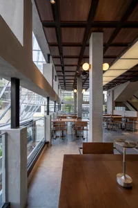 Modern restaurant interior with a large dining area, tables, chairs, and potted plants