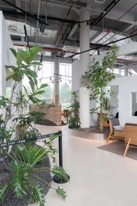 A calm and inviting lobby with potted plants and chairs, featuring a neutral color palette and natural light