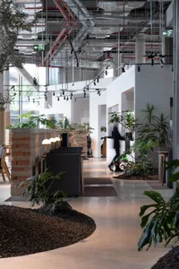 A clean and inviting lobby with white walls and ceiling, featuring potted plants and multiple chairs for seating