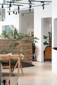 A well-lit interior design showroom with a large white wall, potted plants, two chairs, and a dining table, inviting and designed for interior decoration ideas