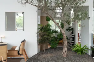 Cozy modern living-dining space with a large tree in the center, surrounded by chairs, a couch, and various plants