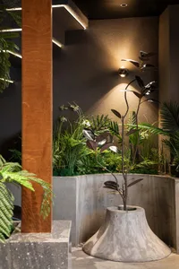 A well-lit indoor space with a variety of potted plants, creating a lush and green atmosphere with natural and artificial lighting