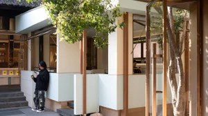 Warm and inviting restaurant interior with wooden walls and flooring, potted plants, and a seating area with multiple chairs and tables