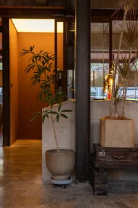A cozy living space with a bamboo plant, suitcases, and a chair, suggesting a warm and inviting atmosphere
