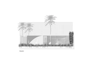 A patio area with palm trees and benches, surrounded by a building elevation with a calm and inviting atmosphere