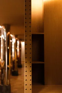 Dark hallway with wooden walls and floors, metal door handles, and limited natural light