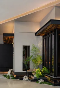 A modern house entrance with a black doorway and two potted plants, one with green leaves and the other with yellow leaves, set against a white wall in a well-lit scene