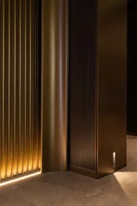 A dark hallway with two large wooden doors featuring gold accents, creating a sense of luxury and sophistication
