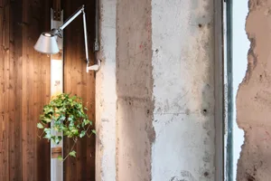 A minimalist space featuring a large concrete wall with two potted plants and a vase, with a focus on the textured industrial appearance of the wall