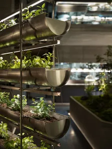A lush indoor space filled with multiple rows of potted plants on different levels, creating a vibrant and thriving environment