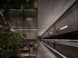 現代客廳空間，盆栽與地栽綠植交錯，環繞裝飾花瓶，融合室內外元素