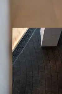 Carpeted room with a black and white design, wool carpet, and modern interior design